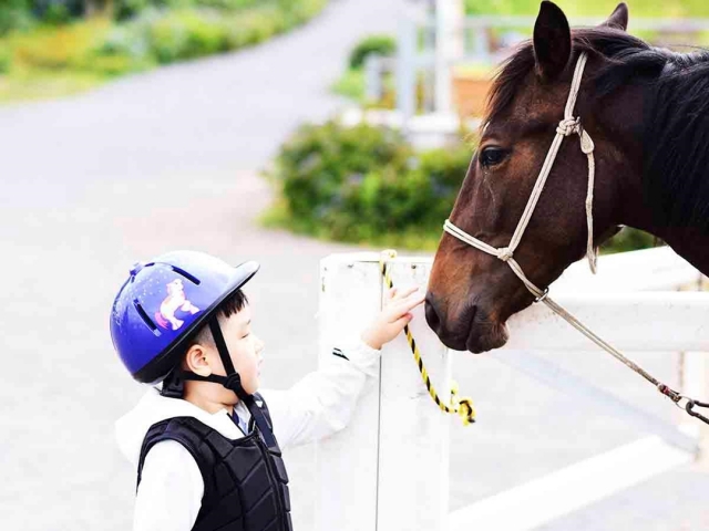 A child pets a horse at Jeju Horse Park. (Jeju Tourism Organization)