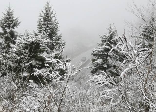 Snowy trees line the old Yeongdong Expressway section near Daegwallyeong in Gangneung, Gangwon Province on Dec. 11. (Yonhap)