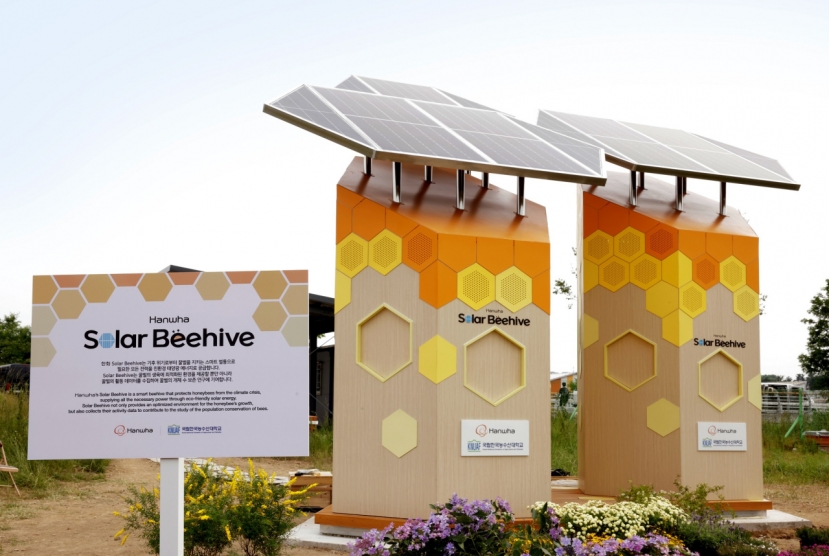  Hanwha builds Korea's first beehive monitored by using solar energy