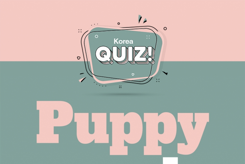 [Korea Quiz] Puppy words
