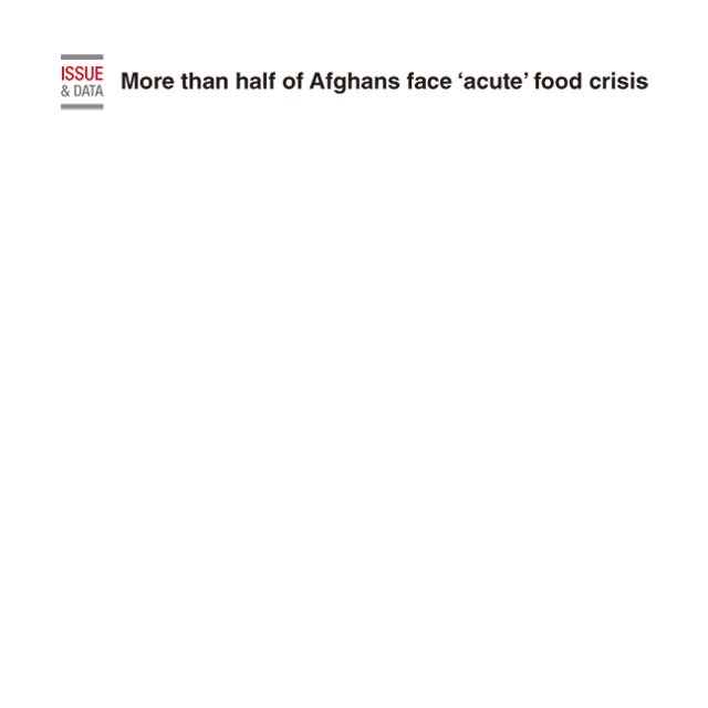 [Interactive] More than half of Afghans face ‘acute’ food crisis