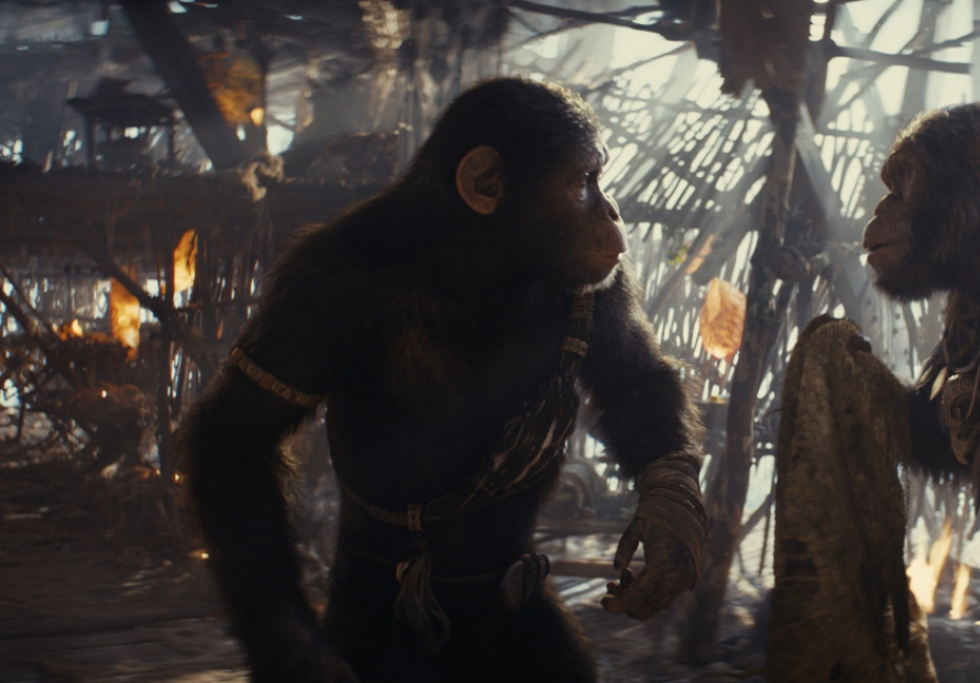 [Herald Interview] 'Kingdom of the Planet of the Apes' features even more advanced VFX techniques: producers