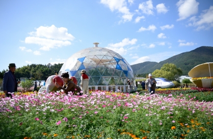  Festivals, sights across Korea