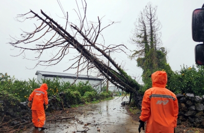 Heaviest November rain in 101 years drenches Jeju