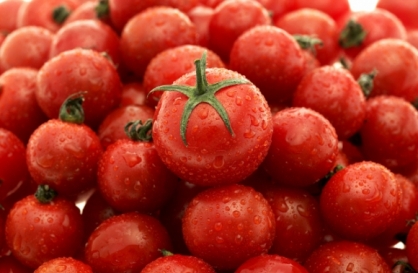Colder winter produced stomach-churning cherry tomatoes