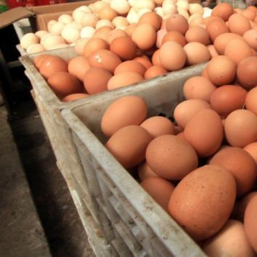 Man eats 28 raw eggs, dies