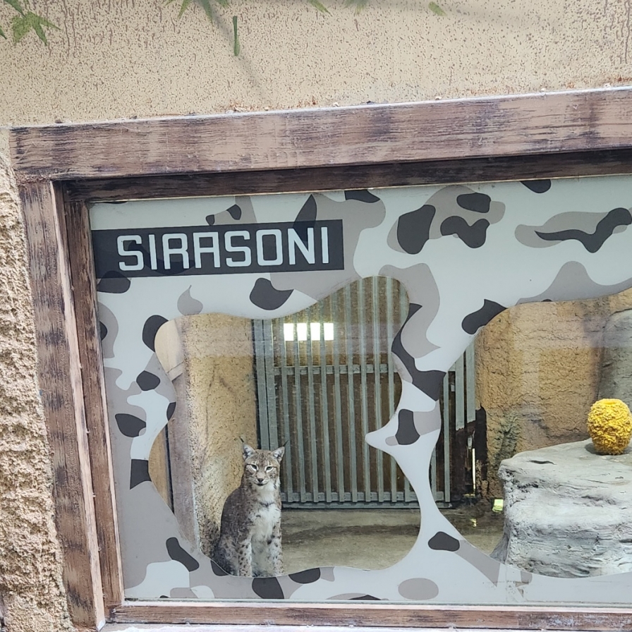 Animals left in substandard conditions at some local zoos