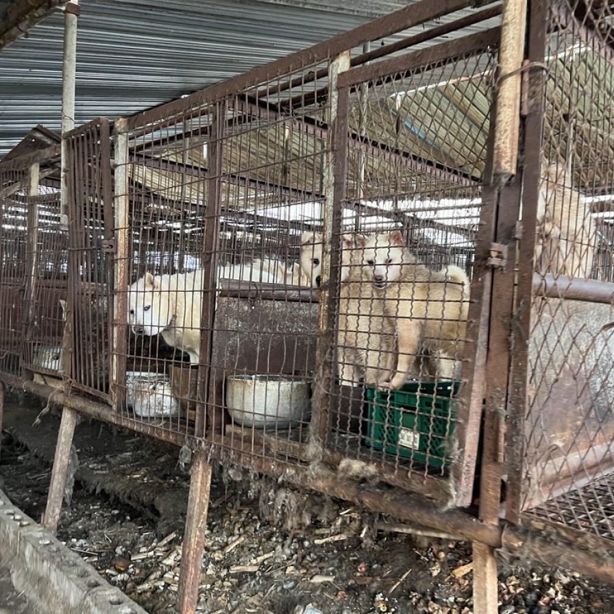 National Assembly speeds up efforts to outlaw dog meat consumption in S. Korea