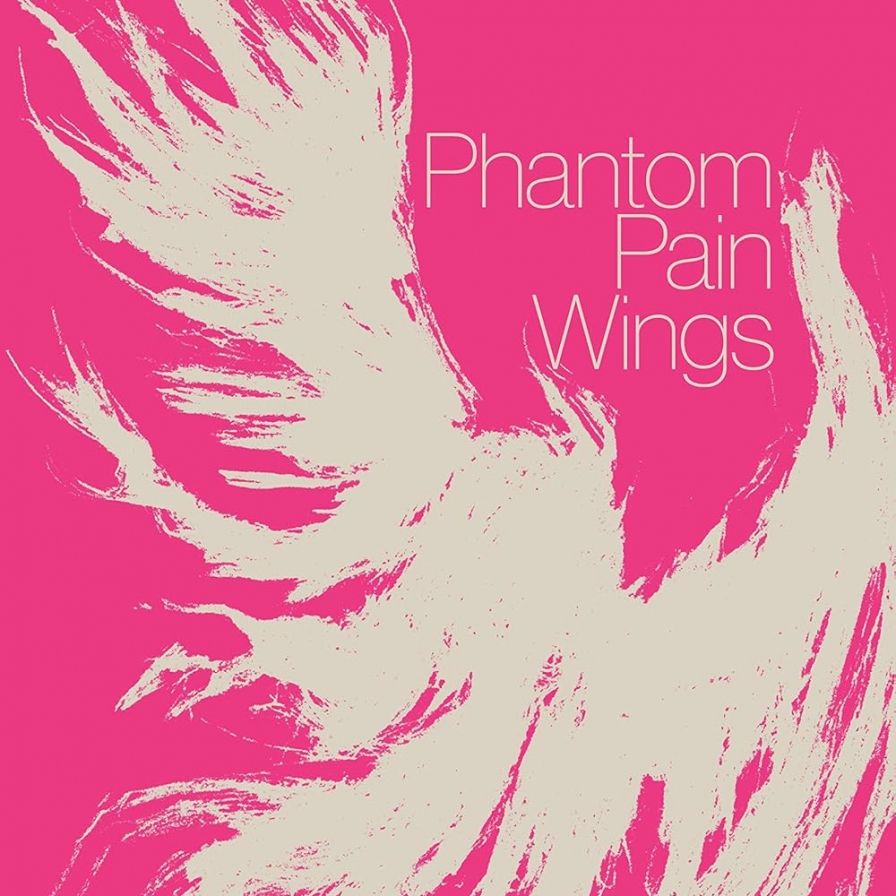 Poet Kim Hye-soon's 'Phantom Pain Wings' shortlisted for 2 NBCC Awards