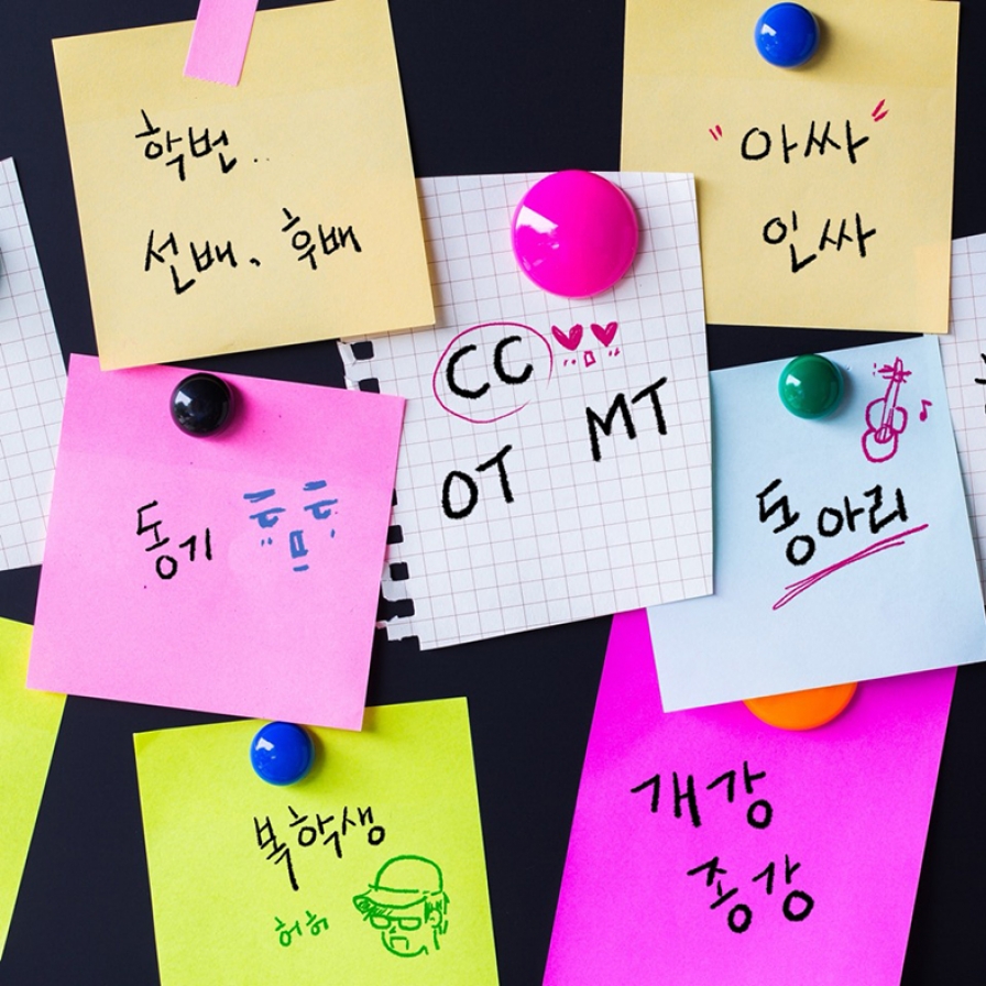 Decoding popular lingo for deeper insight into Korean college culture