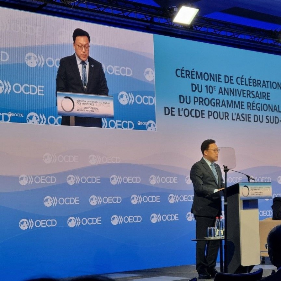 Vice finance minister attends OECD meeting in Paris