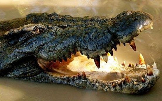 Phone keeps ringing in Ukrainian crocodile's tummy