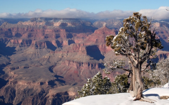 Grand Canyon’s majestic echoes