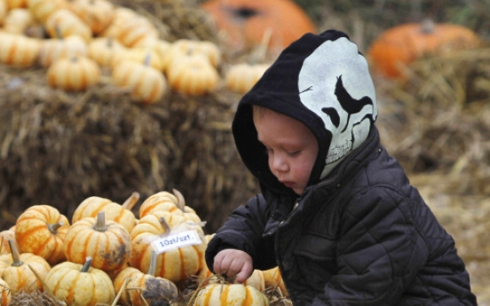 [Photo] Halloween celebration