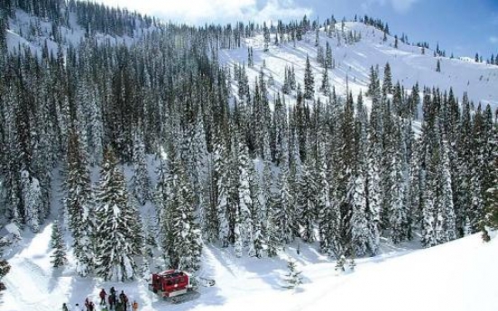 Skiing and snowboarding: Many people do both now