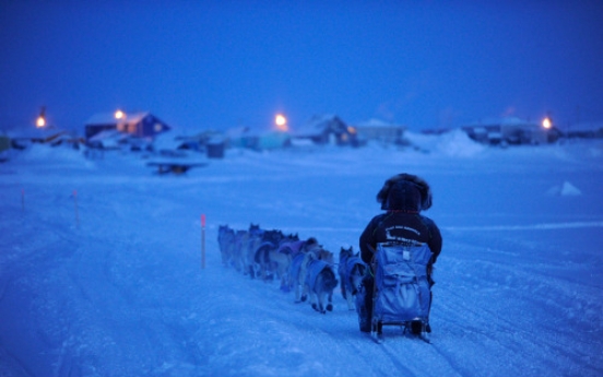 Zirkle retakes lead in Iditarod sled dog race