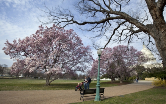 Top Japan musicians play US for cherry blossoms