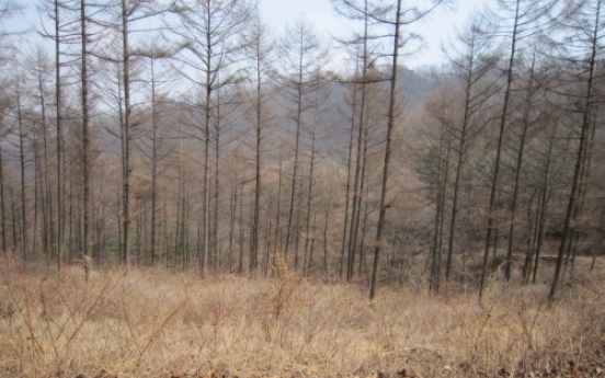 Man donates forest land worth W100b