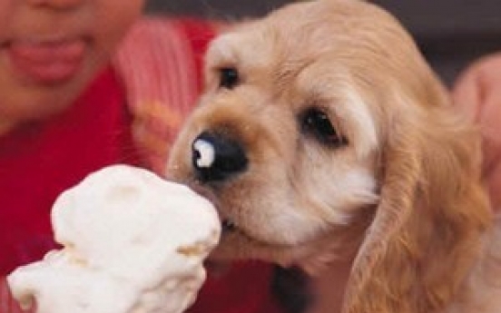 Italy introduces ice cream for dogs