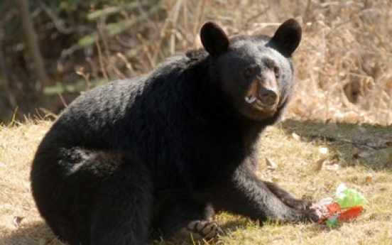 Convict’s body partly eaten by black bear