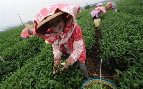 Taiwan tea all about passion and profit