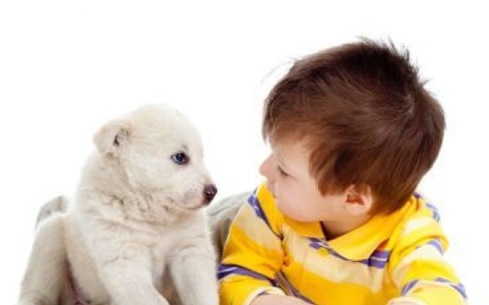 Pets boost infant immunity to infections