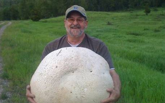 Man lugs home 57-pound mushroom