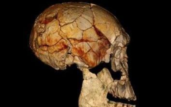 Fossil find shows other human cousins