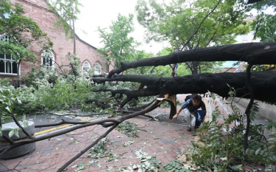 Typhoon Bolaven slams nation, leaving 23 dead or missing