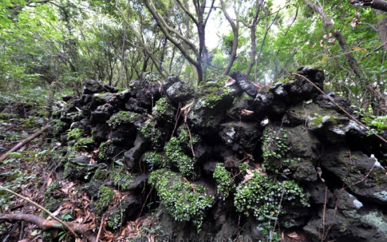 Jeju Gotjawal park offers eco-diversity