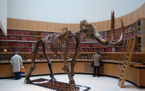 Mammoth fragments from Siberia raise cloning hopes