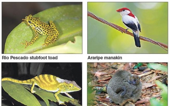 Conservationists issue plea to save world’s 100 most threatened species