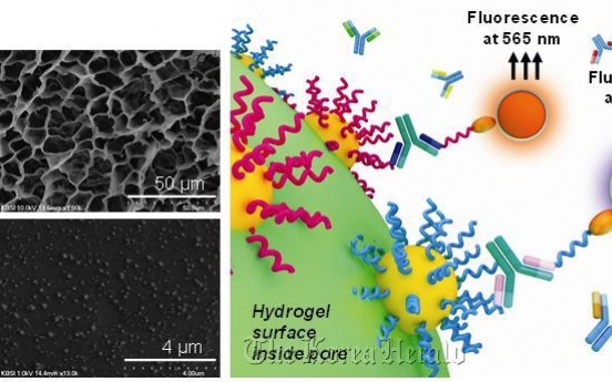 Scientists develop high stability, sensitivity disease probe