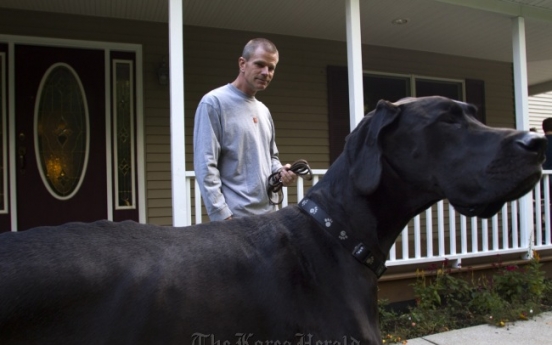 Great Dane from Michigan is world’s tallest dog