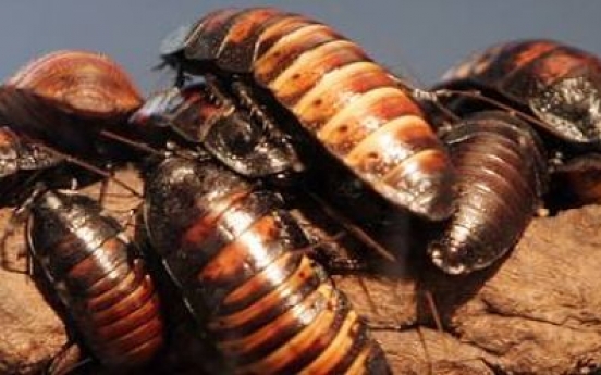 Florida man eats bugs, dies