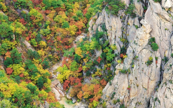 Autumn picnics under turning leaves