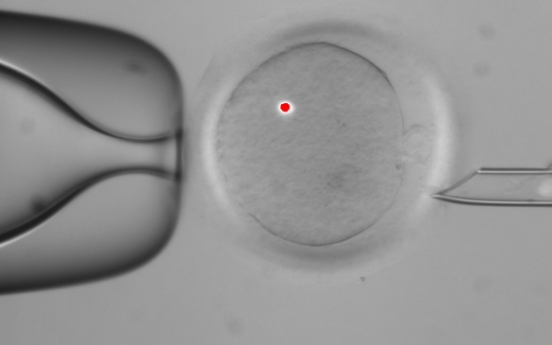 U.S. scientists make embryos with ...2 women, 1 man