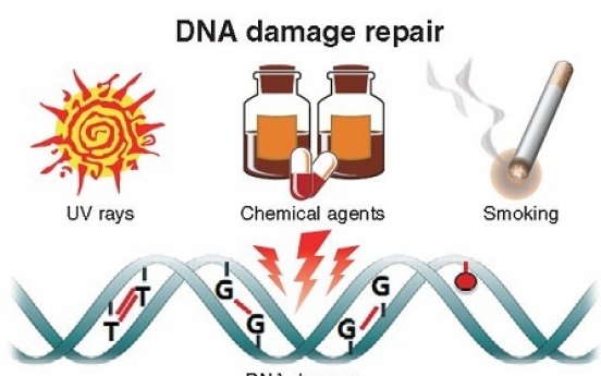 Korean scientists find ways to repair DNA damage