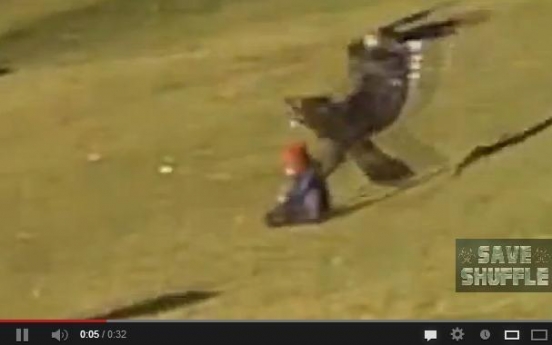 Eagle snatching toddler video is a hoax