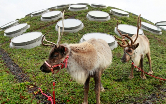 Revealed: The mystery of Rudolph‘s nose