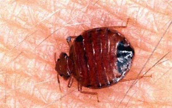 Bedbugs no reason to skip library books