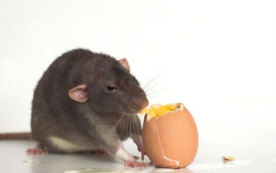 Woman with 300+ rats being evicted