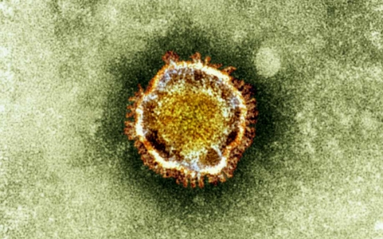 New virus may have spread between people