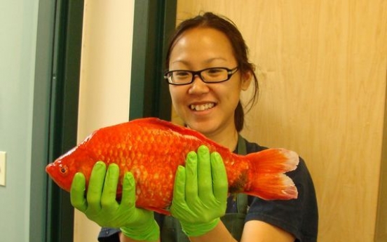 Giant goldfish found in Lake Tahoe