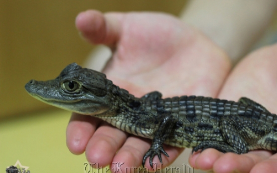 Reptiles, amphibians can make kids sick