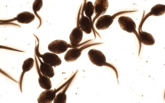 Woman hid tadpoles in her mouth at airport