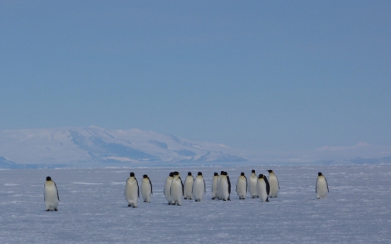 Antarctic summer ice melt accelerating: study