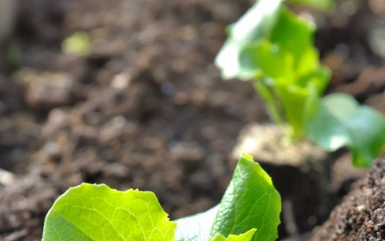 Seoul’s urban expats seek gardening oasis