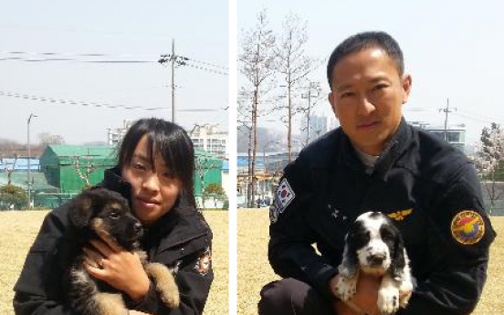 Cloned dogs given to 119 services