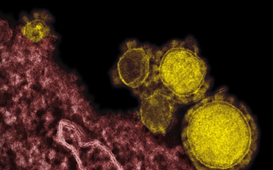 New MERS virus spreads easily, deadlier than SARS